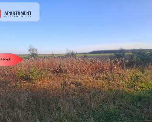 TYLKO U NAS !!! ATRAKCYJNA DZIALKA WSRÓD LASU