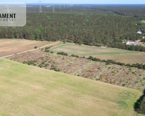 Dziesięć działek na twój wymarzony dom.