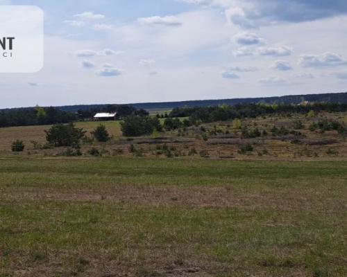 Dziesięć działek na twój wymarzony dom.