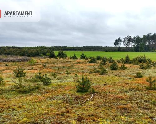 Dziesięć działek na twój wymarzony dom.