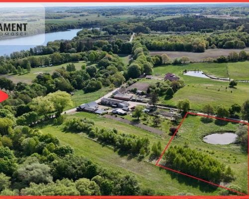 IVa klasa z własnym stawem