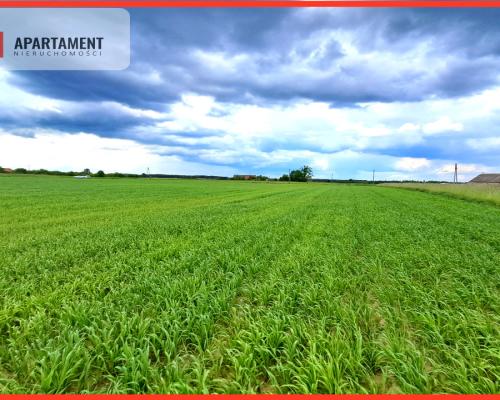 Duże działki do podziału lub inwestycji !!!