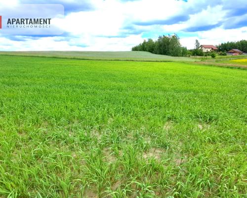 Duże działki do podziału lub inwestycji !!!