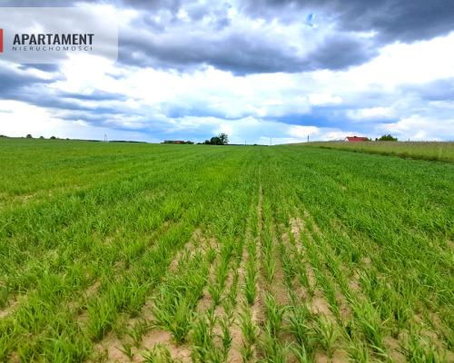 Duże działki do podziału lub inwestycji !!!