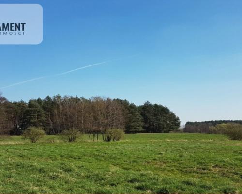 Idealna działka dla ceniących spokój