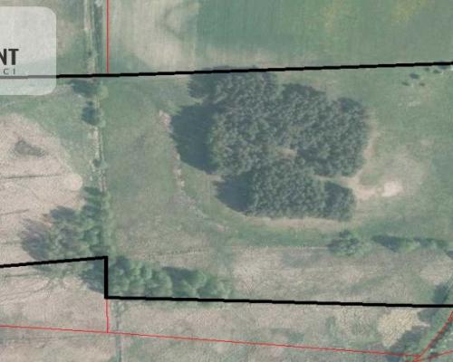 Idealna działka dla ceniących spokój