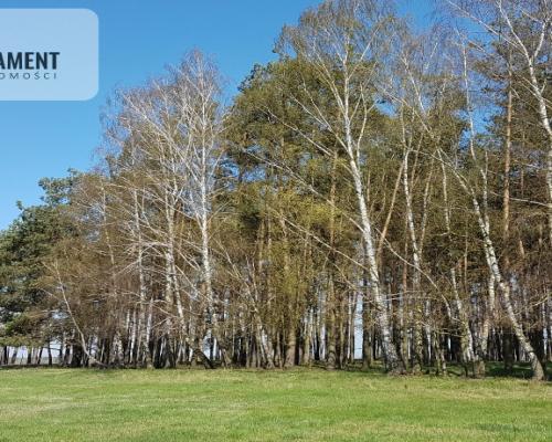 Idealna działka dla ceniących spokój