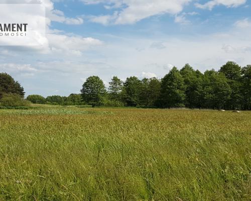 Idealna działka dla ceniących spokój