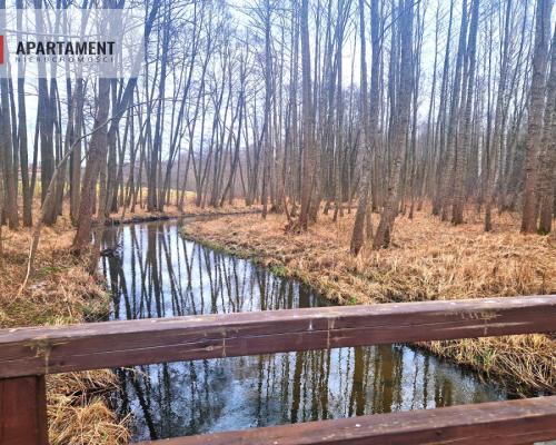 Działki w pobliżu rzeki Prusiny idealne pod dom