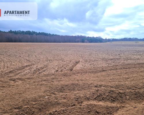 Działki w pobliżu rzeki Prusiny idealne pod dom