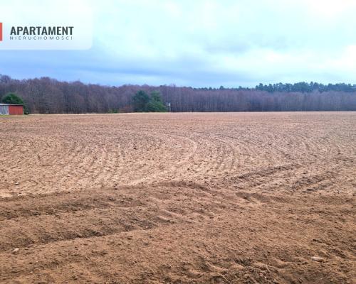 Działki w pobliżu rzeki Prusiny idealne pod dom
