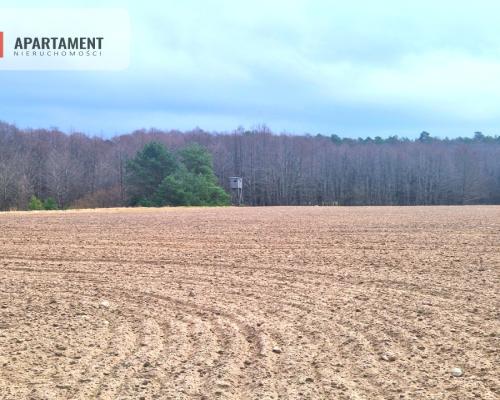 Działki w pobliżu rzeki Prusiny idealne pod dom