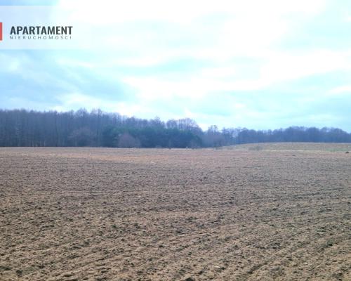 Działki w pobliżu rzeki Prusiny idealne pod dom