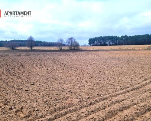 Działki w pobliżu rzeki Prusiny idealne pod dom