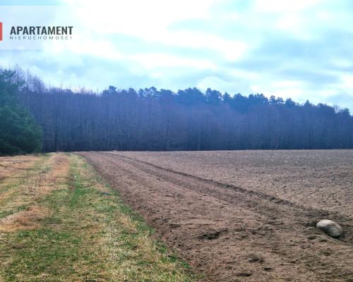 Działki w pobliżu rzeki Prusiny idealne pod dom