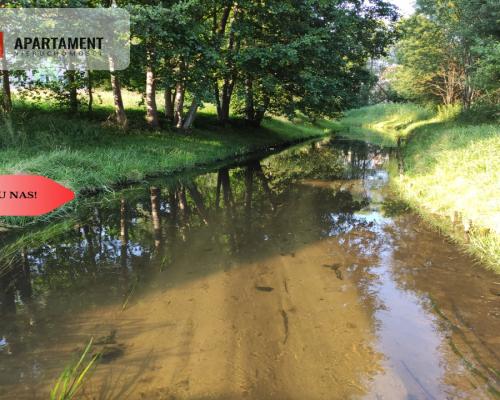 Tylko u Nas! Działka pod budowę lub inwestycję.