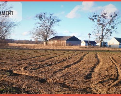 DUŻA działka 5 minut od Świecia, kwadrat !