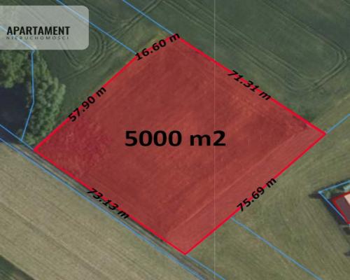 DUŻA działka 5 minut od Świecia, kwadrat !