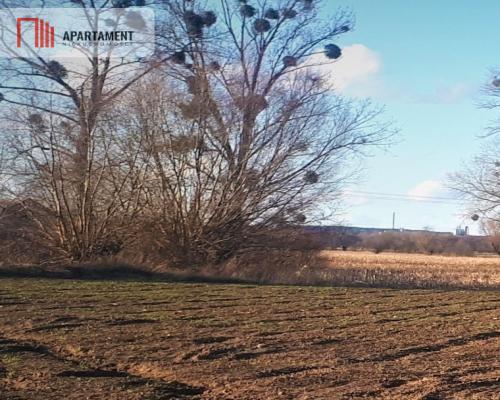 DUŻA działka 5 minut od Świecia, kwadrat !