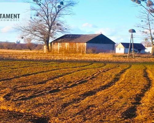 DUŻA działka 5 minut od Świecia, kwadrat !