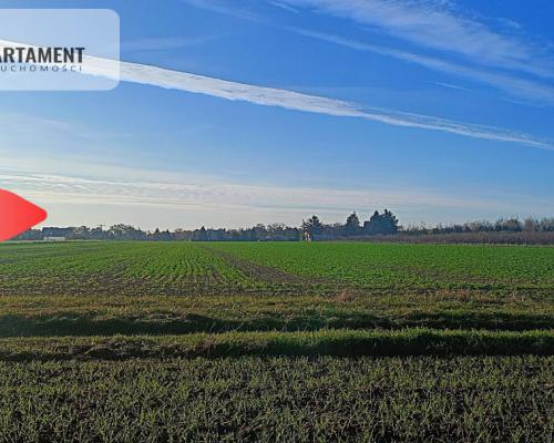 Działka 40 arów Lutynia