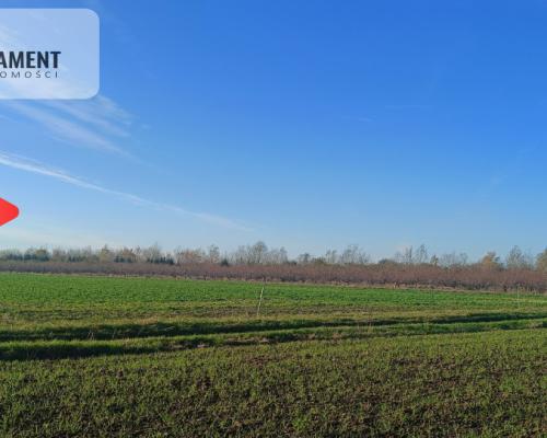 Działka 40 arów Lutynia