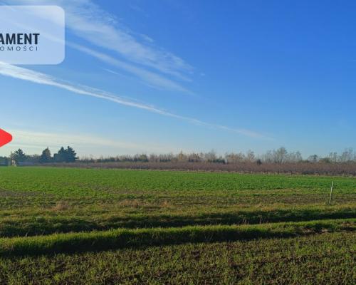 Działka 40 arów Lutynia