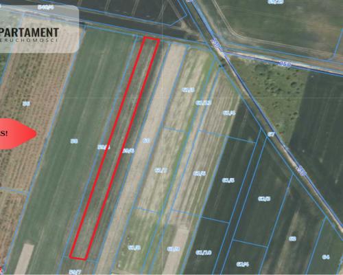 Działka 40 arów Lutynia