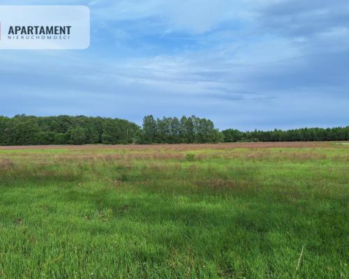 Działka inwestycyjna pod STACJĘ PALIW! Dobra cena