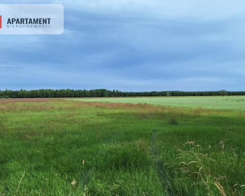 Działka inwestycyjna pod STACJĘ PALIW! Dobra cena