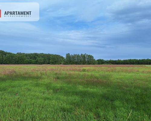 Działka inwestycyjna pod STACJĘ PALIW! Dobra cena