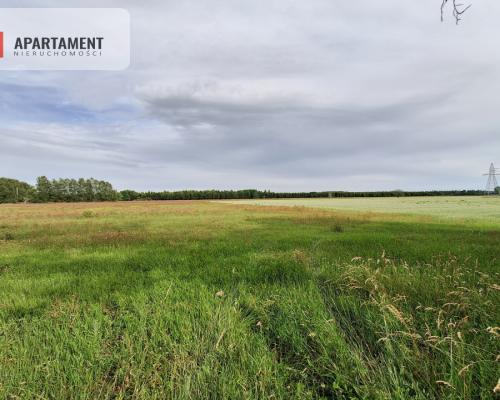 Działka inwestycyjna pod STACJĘ PALIW! Dobra cena