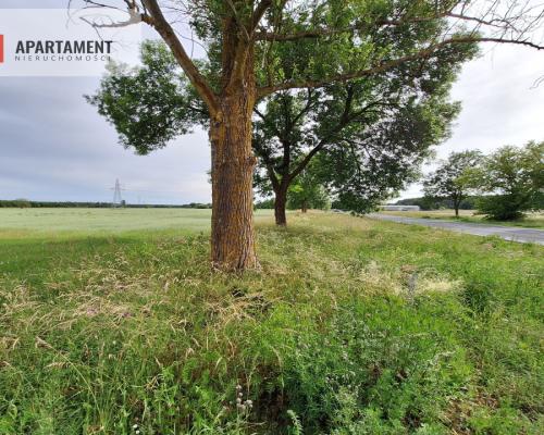 Działka inwestycyjna pod STACJĘ PALIW! Dobra cena