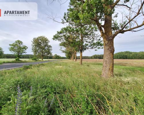 Działka inwestycyjna pod STACJĘ PALIW! Dobra cena