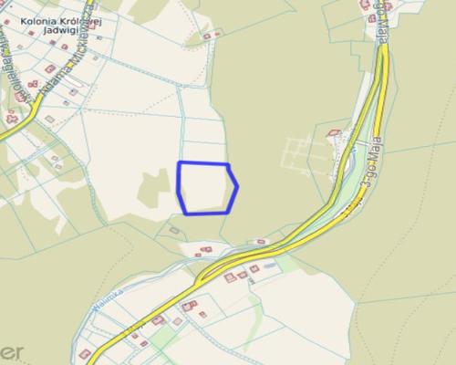 Działka w Górach Sowich