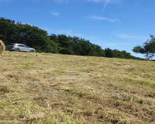 Działka w Górach Sowich