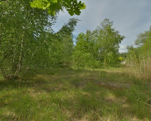 Działka przemysłowa Wałbrzych