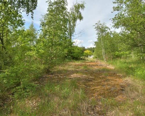 Działka przemysłowa- Wałbrzych - do wynajmu