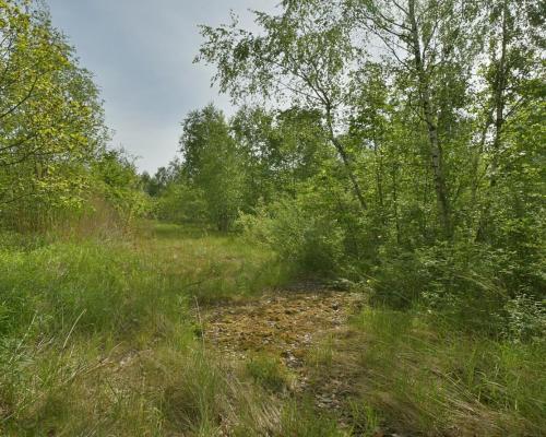 Działka przemysłowa- Wałbrzych - do wynajmu