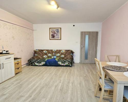 Mieszkanie 2 Pokojowe bezczynszowe