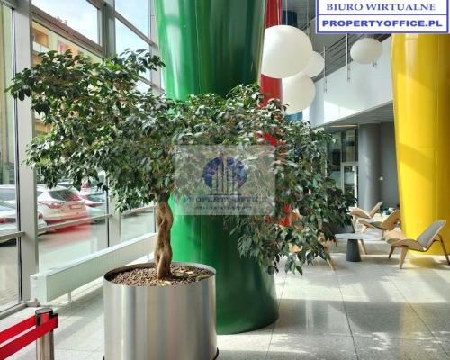 Wola: wirtualny adres