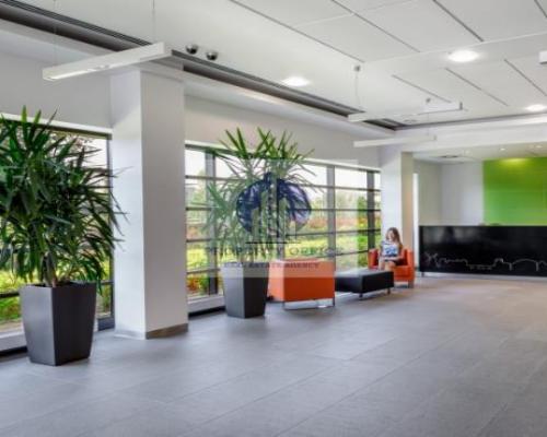 Ursynów : lokal biurowy na w ynajem