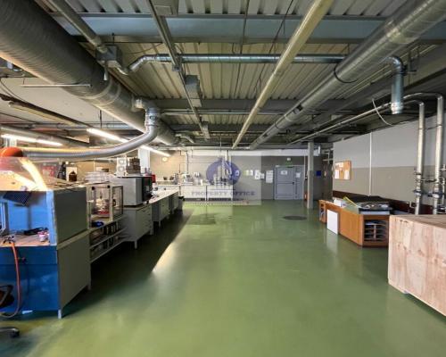 Bielany: lokal magazynowo-produkcyjny na wynajem