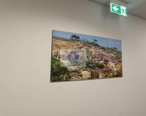 Śródmieście: biurko w coworkingu na wynajem