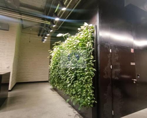 Praga Północ: biuro serwisowane na wynajem