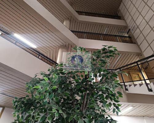 Wola: lokal biurowy na wynajem