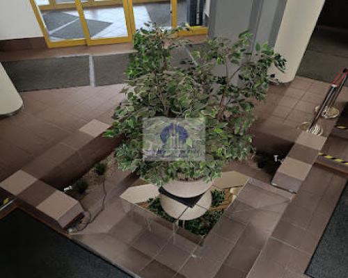 Wola: lokal biurowy na wynajem