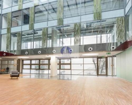 Śródmieście: lokal biurowy na wynajem