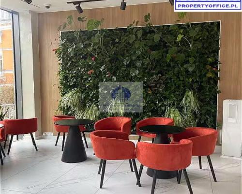 Śródmieście: lokal na usługi medyczne na wynajem