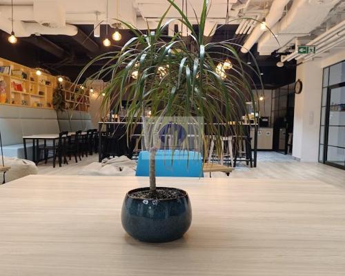 Śródmieście: biuro serwisowane na wynajem